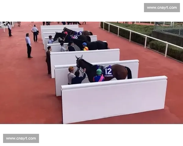 名将田原 G1 首冠!父子制霸宝塚纪念赛创历史 名将田原 G1 首冠!父子制霸宝塚纪念赛创历史