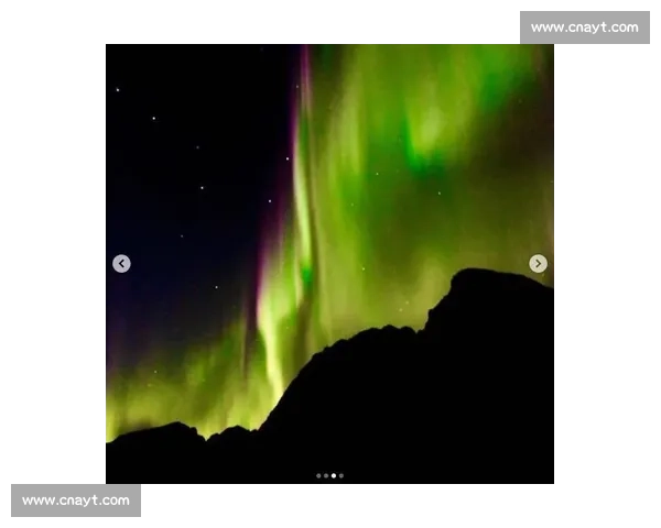 冰原上的星霜华尔兹